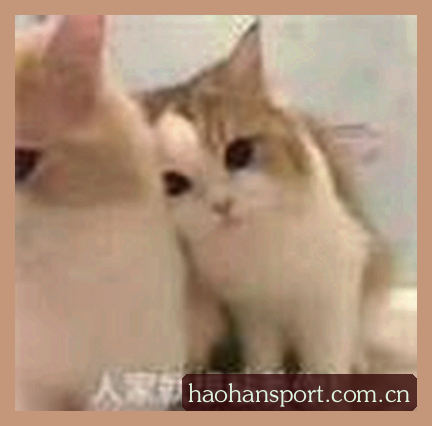 陈先生